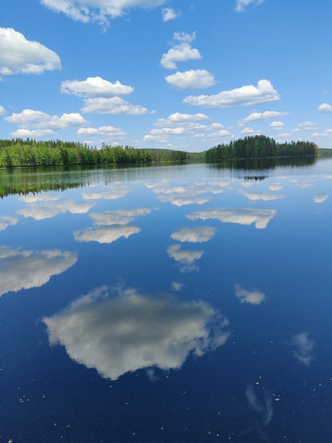 reflection