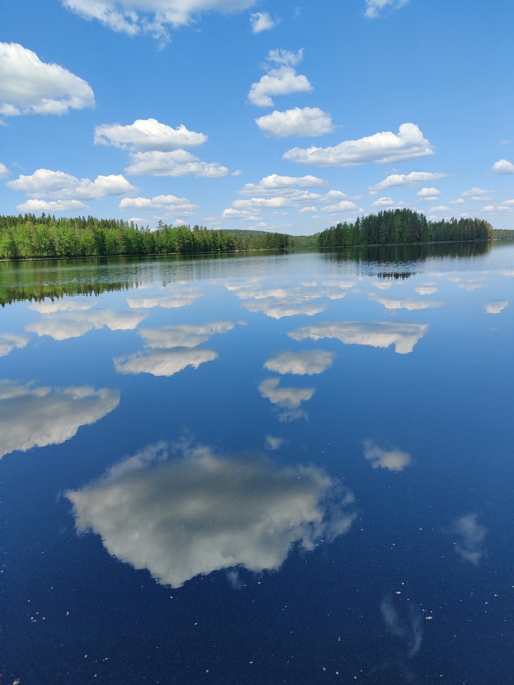 reflection