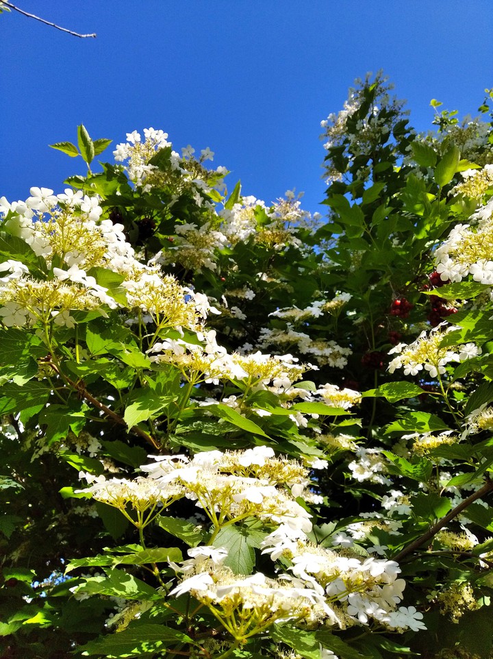 sky