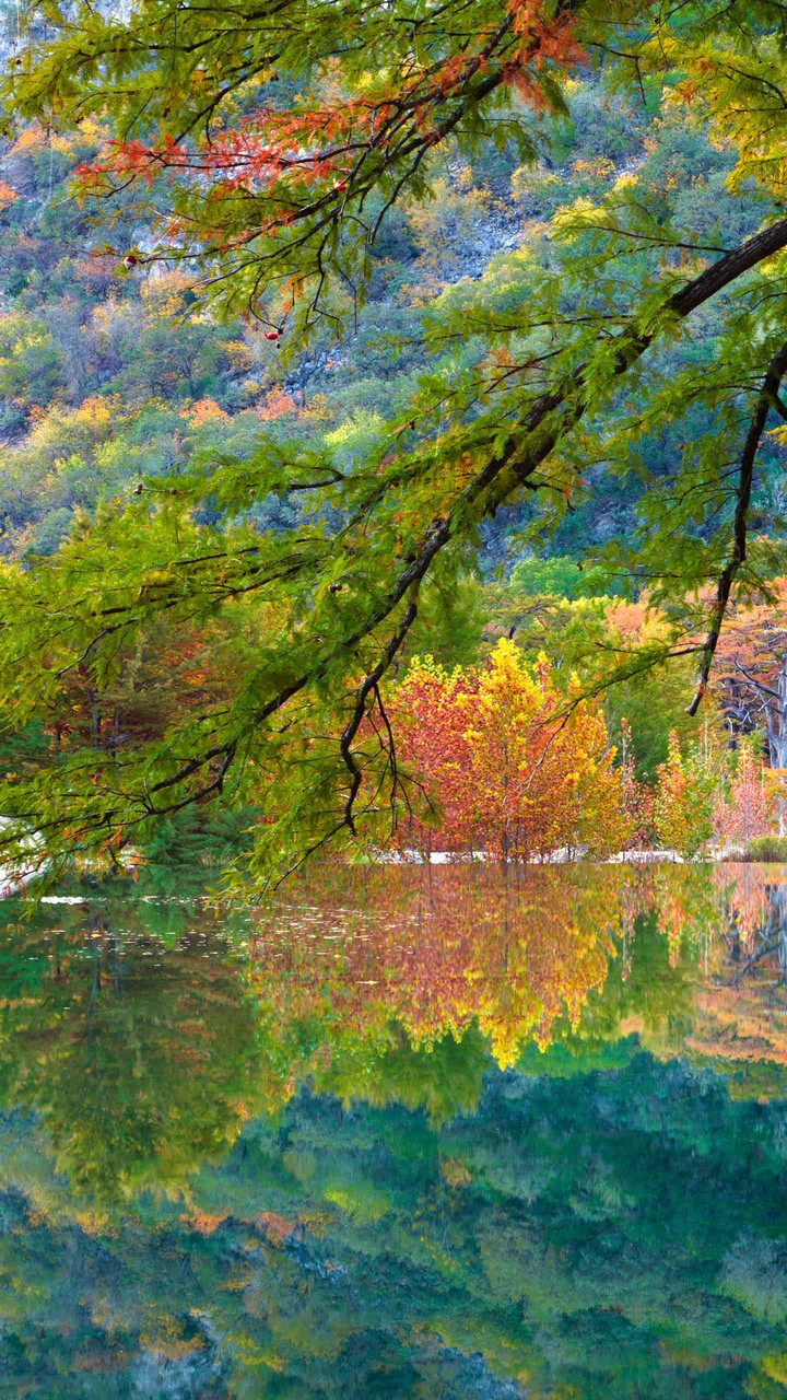 paysage