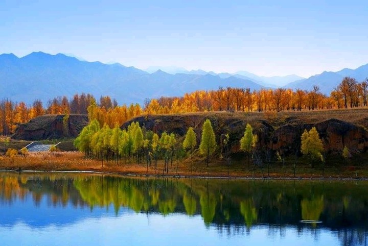 beauty of nature