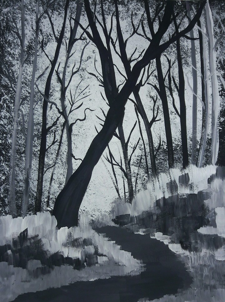 Snow Forest