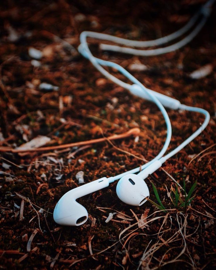 earphone