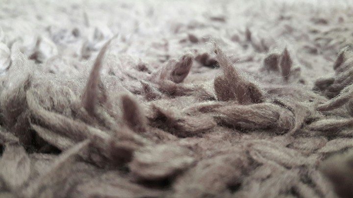 carpet