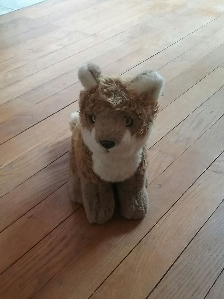 the renard