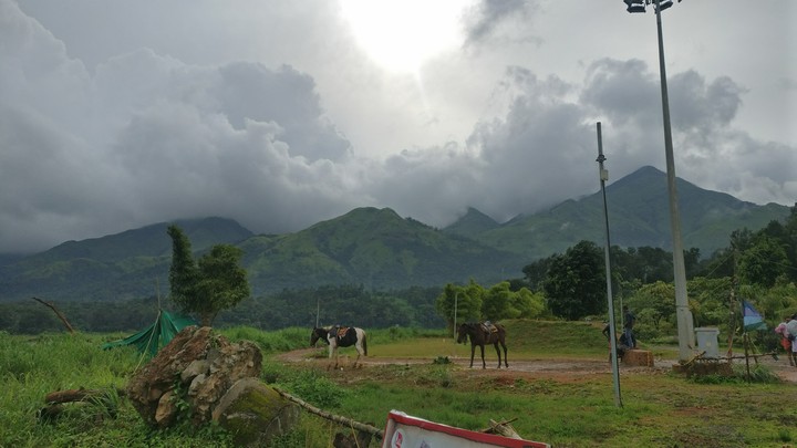 Waynad
