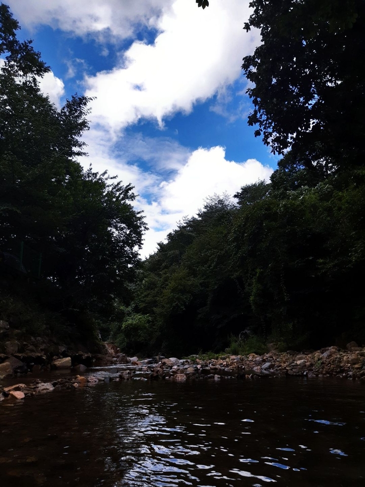 nature