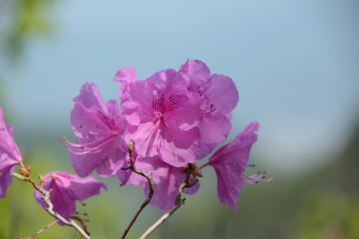 수락산이미지