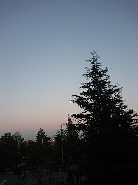 sky