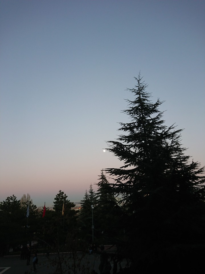 sky