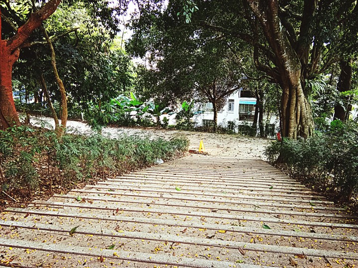 人也有很多路要选择 People also have a lot of ways to choose