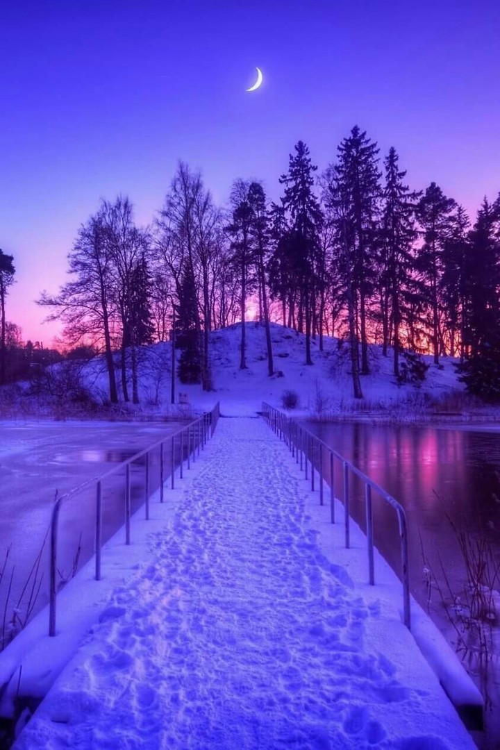winter