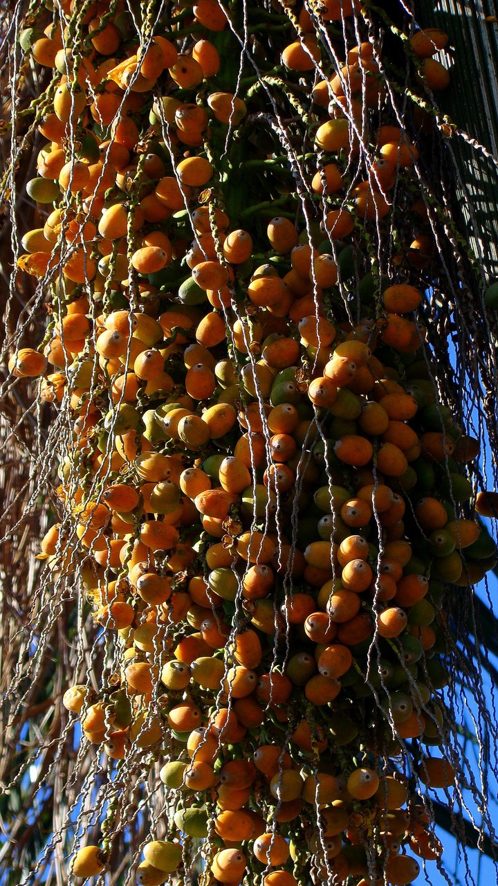 ☀️