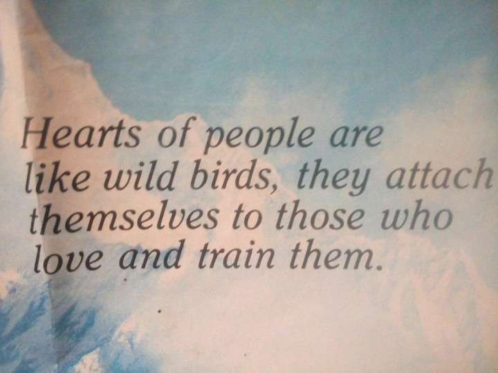 Hearts of people