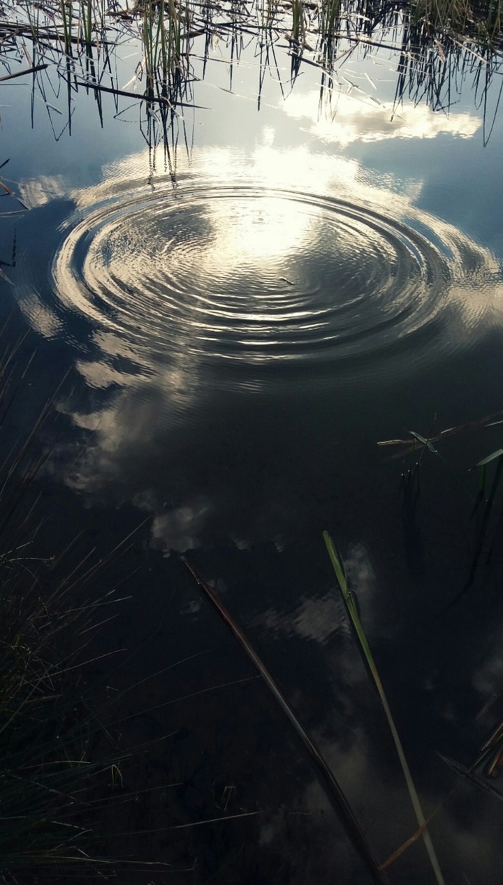 water