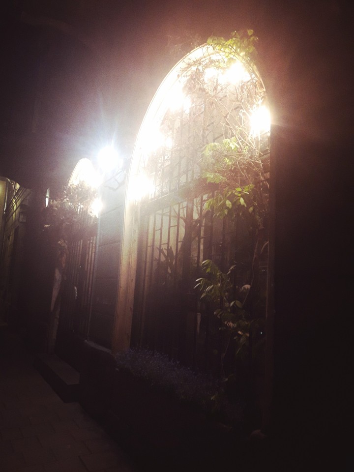 flower shop in Cracow at night