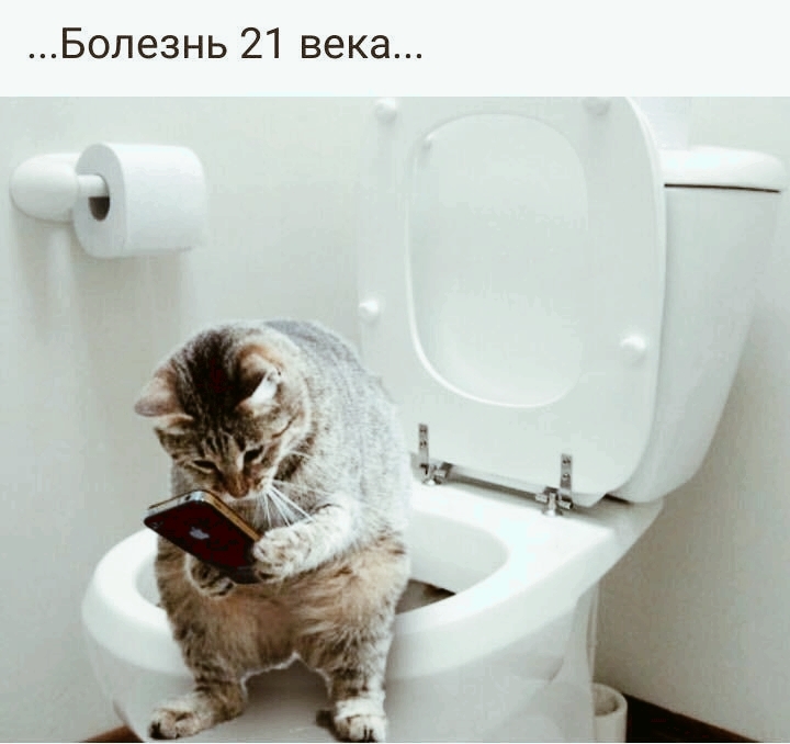 Я в туалете ка..ю. Лайки. Ого!