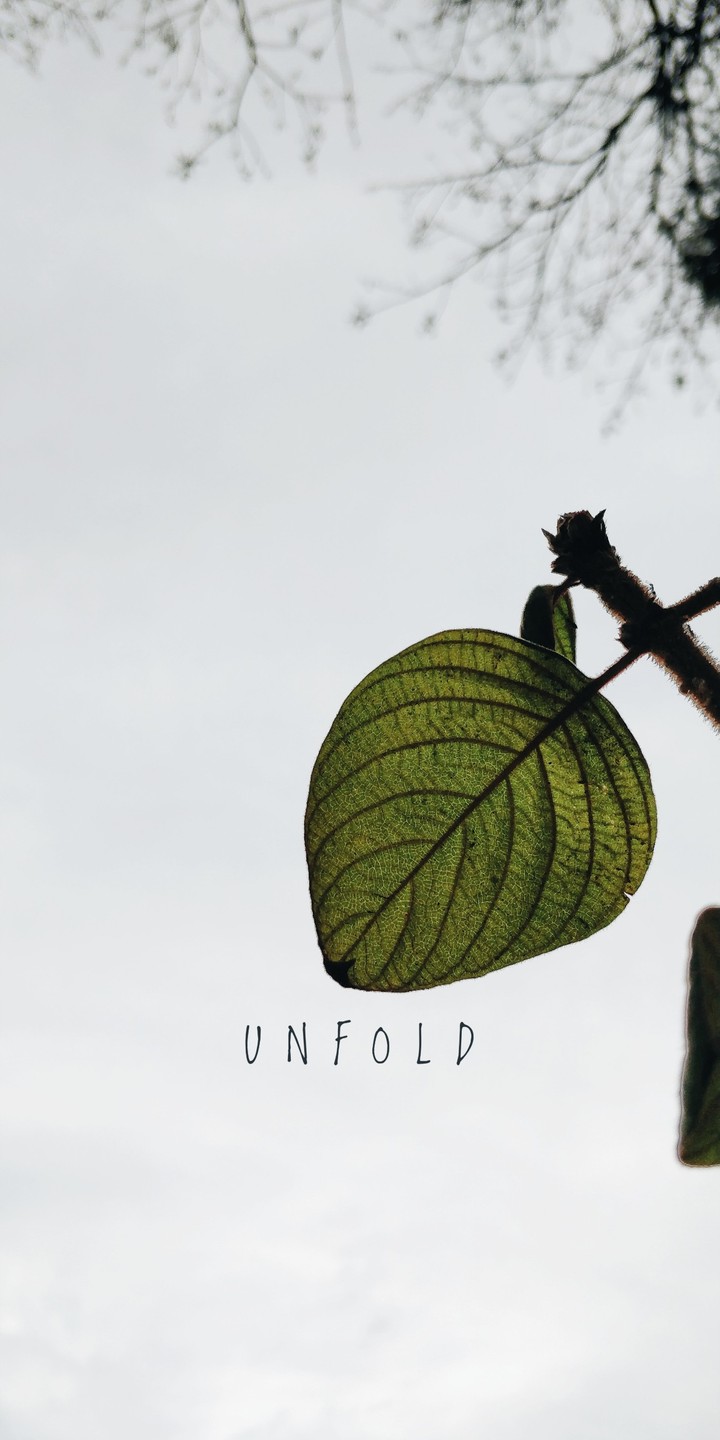 UNFOLD