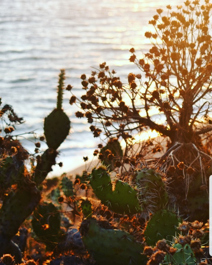 Golden Hour