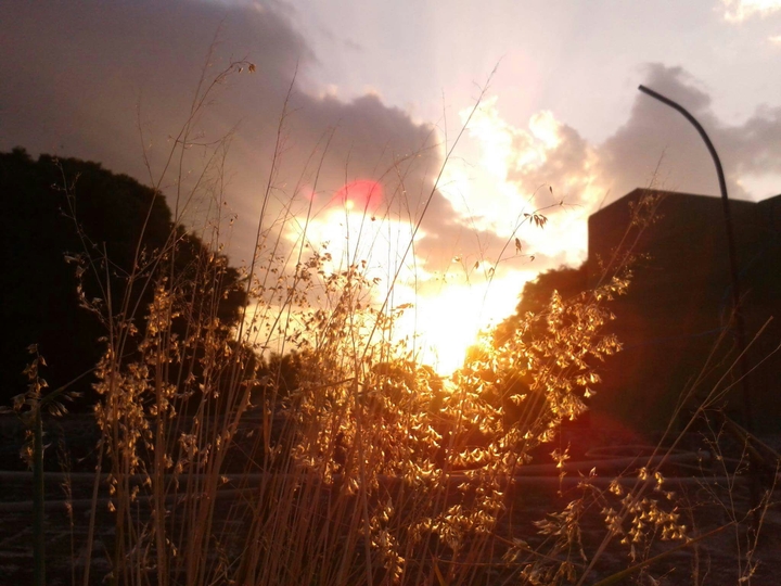 Sunset inspiration 