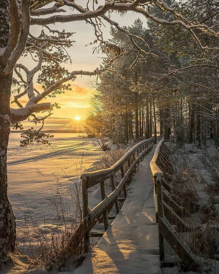 Winter cold