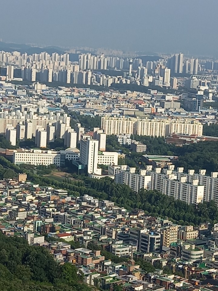 아파트와 일반주택들