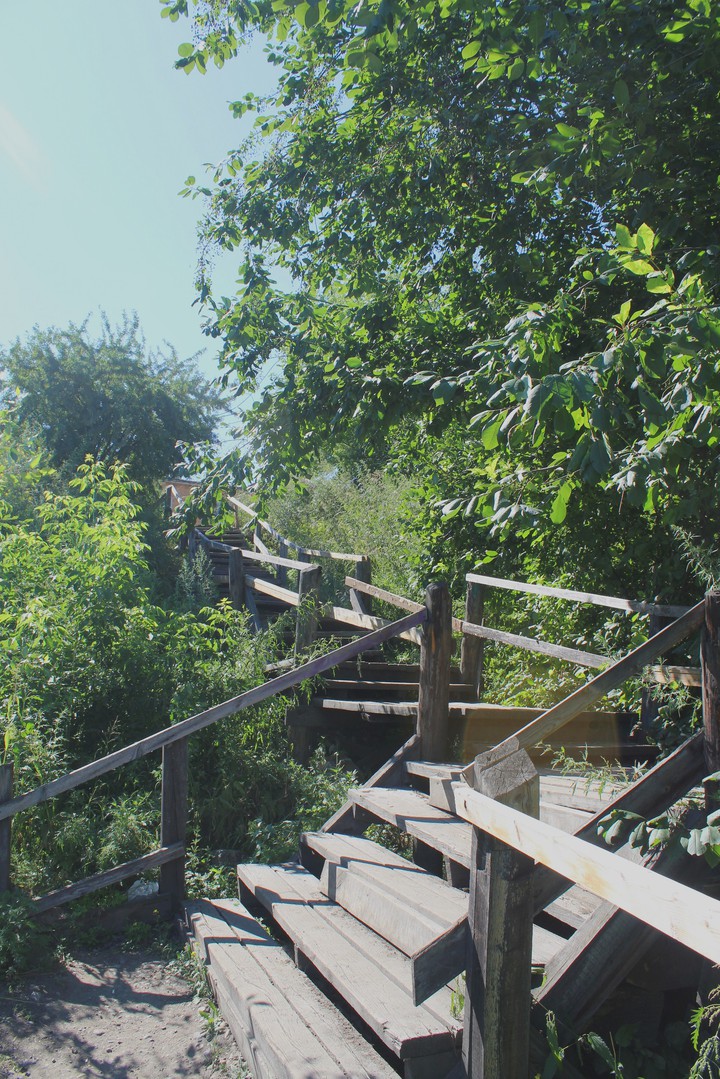 rise from the greenery