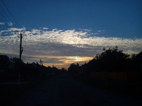Morning