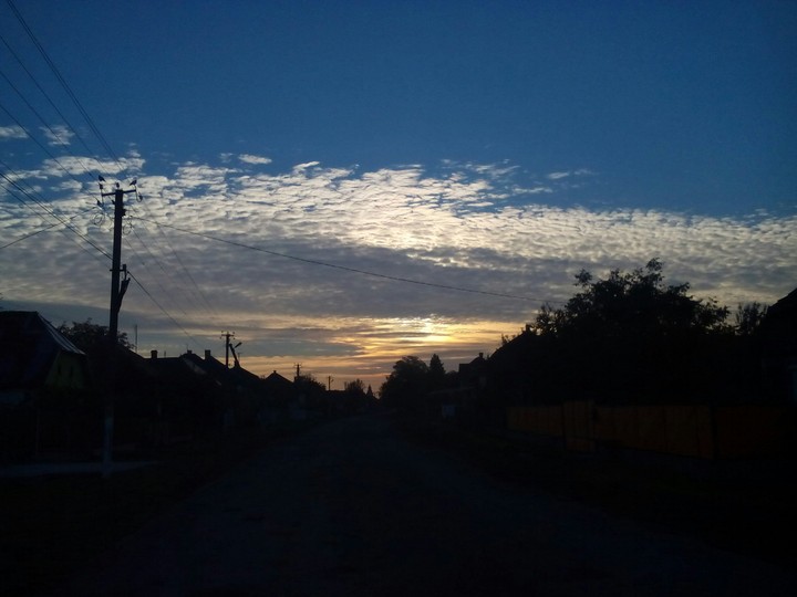 Morning