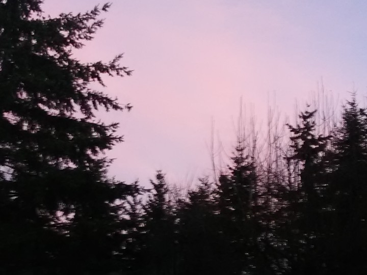 its pink!