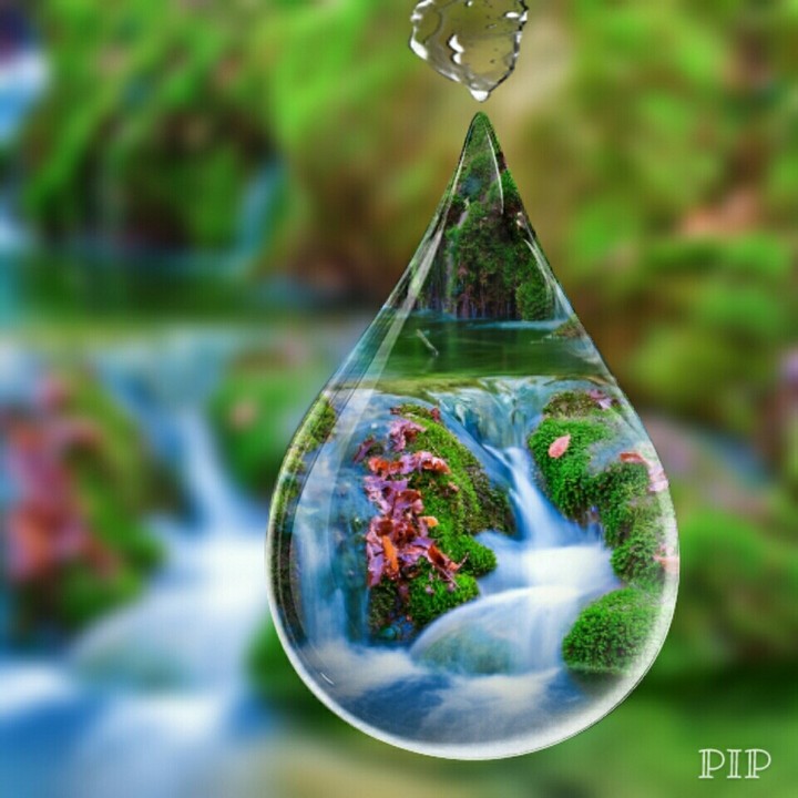 drop of water