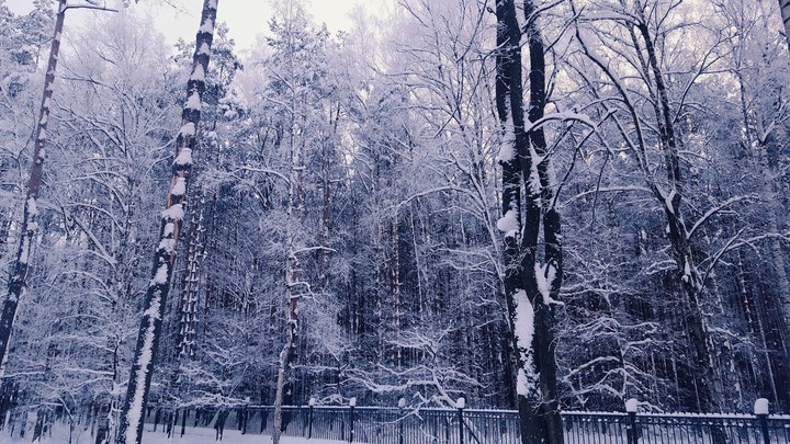 winterland