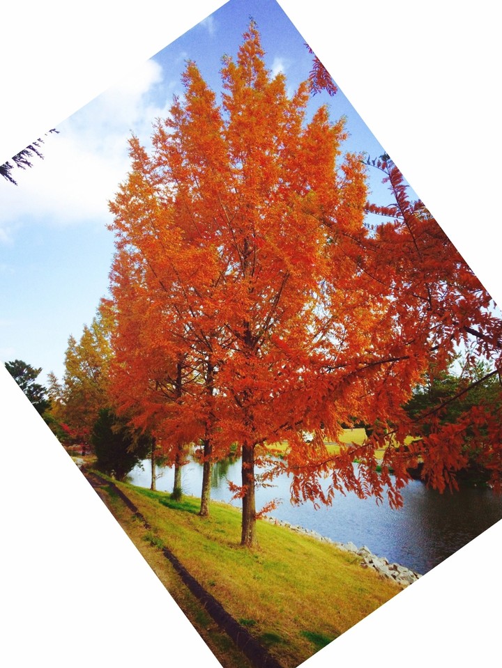 Autumn