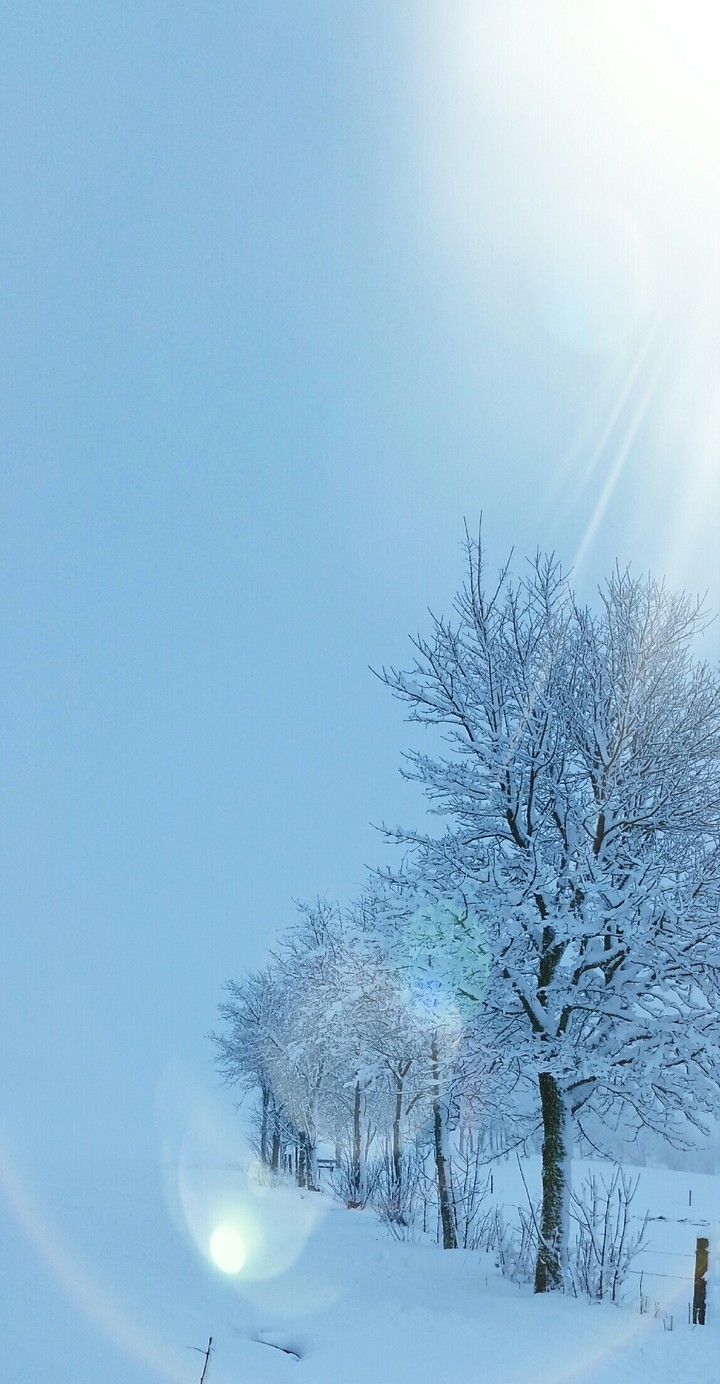 cold blue