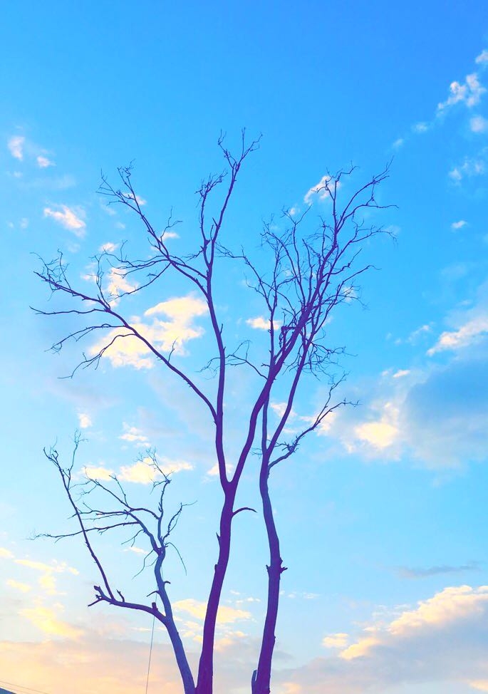 sky