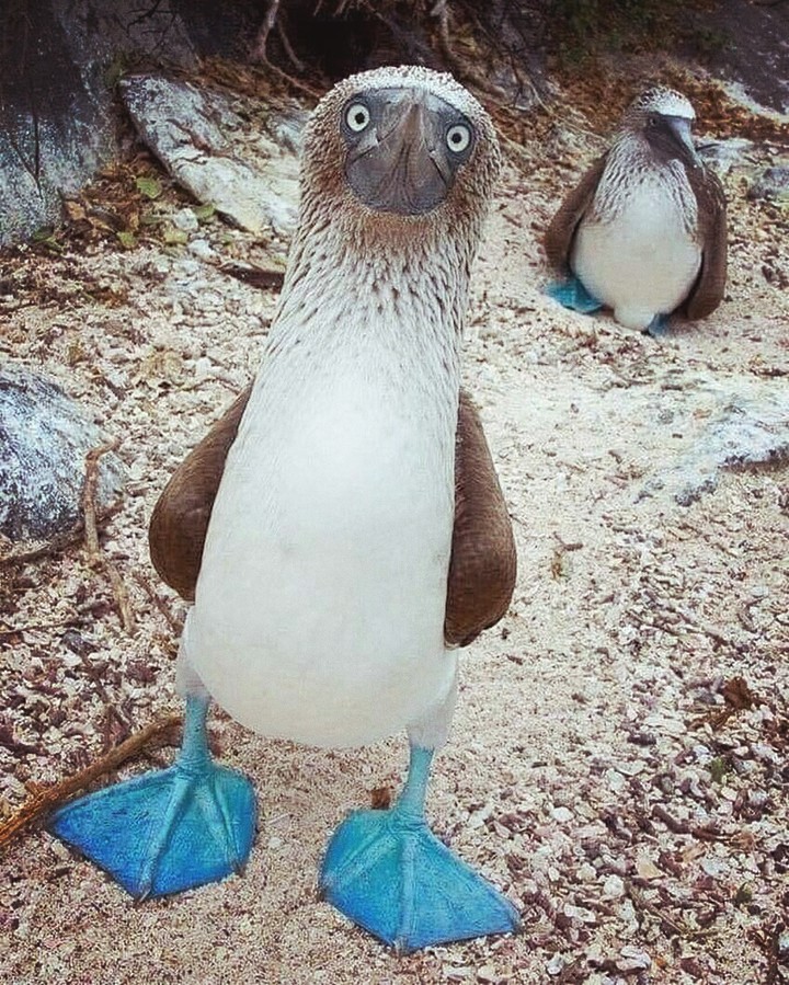 ?