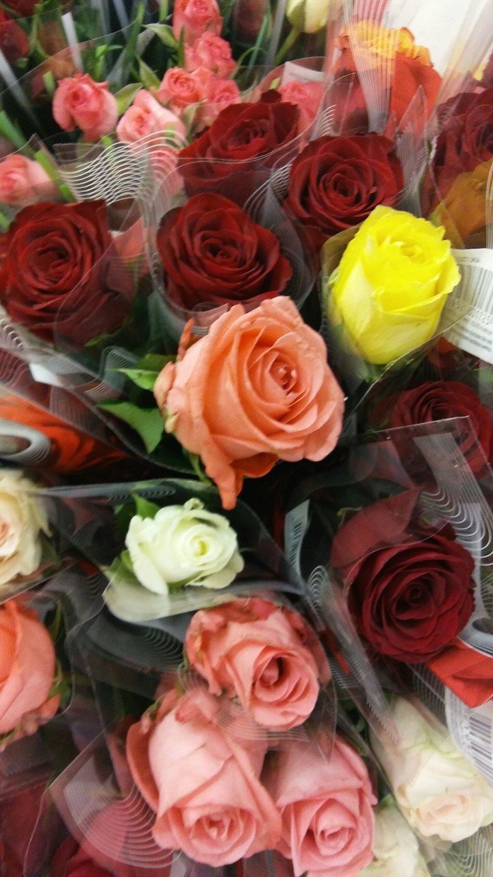 3D Roze...