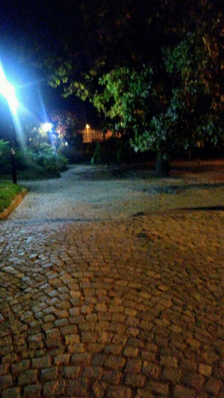 Park