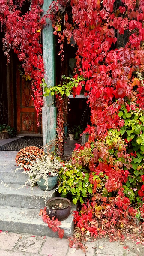 Autumn in Zaborek