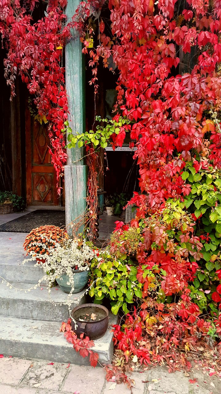 Autumn in Zaborek