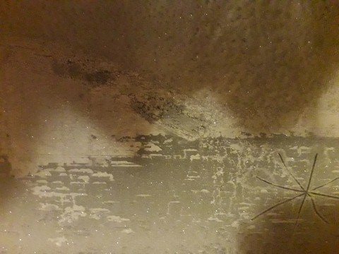 Water, mold Hintergrundbilder