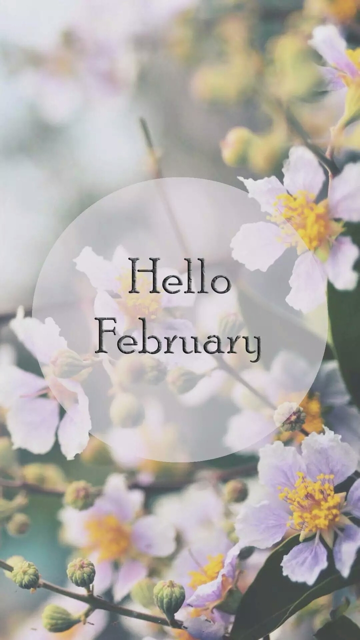 hello february