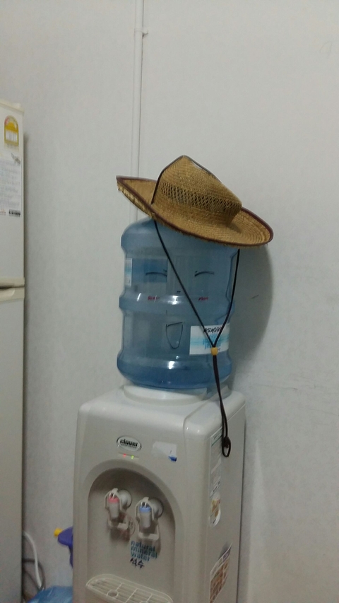 정숙이