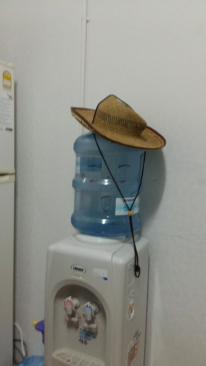 정숙이