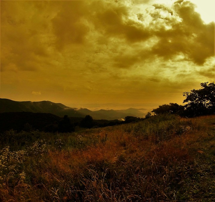 Mountain