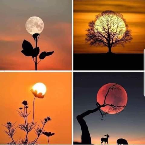 nice