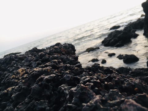 Goa