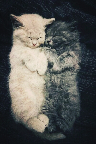 ... ♡ ...