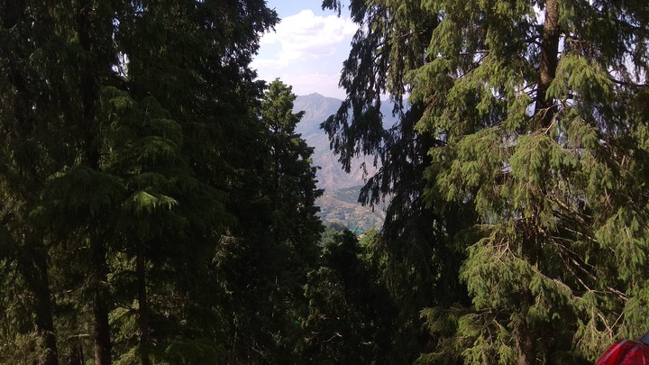 nature