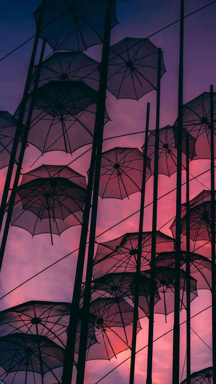 umbrellas